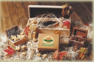GOLDEN SAP wrapped gifts